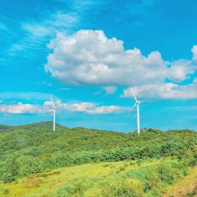 热血连萌游戏下载