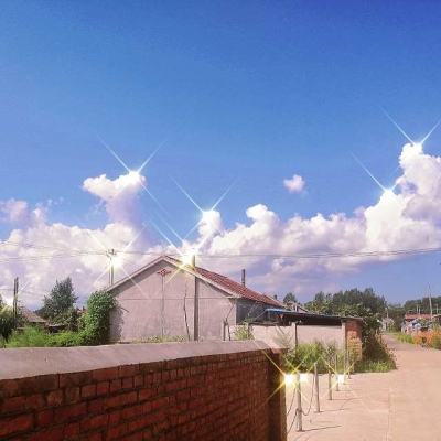 空闲绿色按钮游戏下载